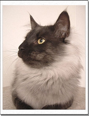 Arranz, about 1 years old.