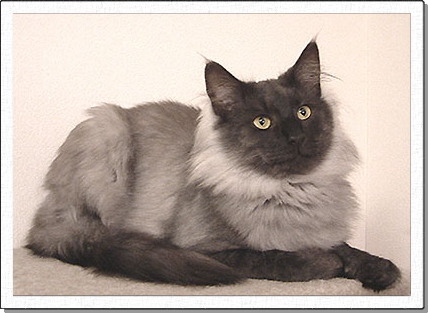 Arranz, about 1 years old.