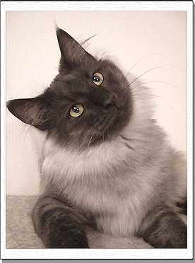 Arranz, about 1 years old.