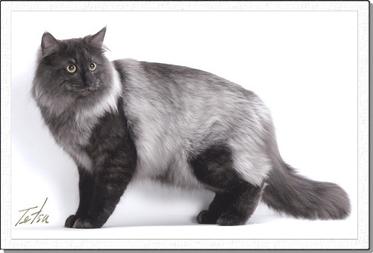 Arranz, about 1 years old.