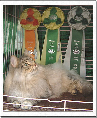 Jenny, about 1years old.