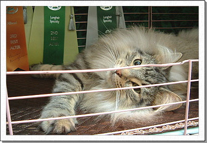 Jenny, about 1years old.